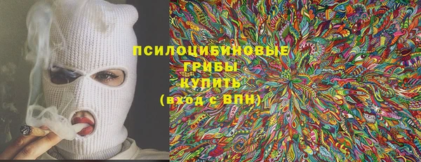 прущие грибы Алексин
