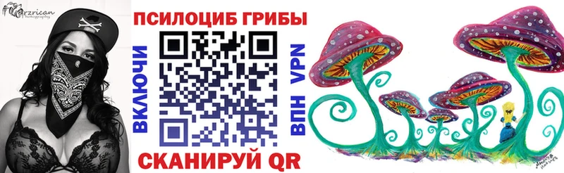 нарко площадка состав  Черепаново  Псилоцибиновые грибы Cubensis 
